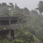 An abandoned house and trees bend with gusty winds ahead off the landfall of cyclone Fani on the outskirts of Puri AP Photo)
