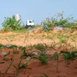 Eyewitness says the RSF ordered dozens of bodies to be dumped in a pit